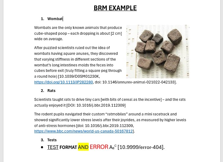 Document before BRM