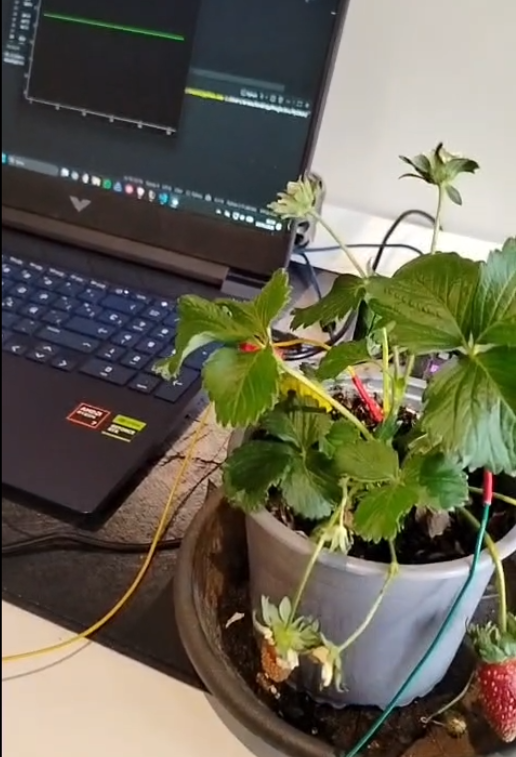 Plant electrophysiology biochip